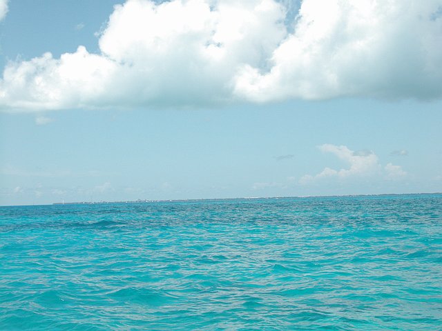 <b>schnorcheln in Key West (Western Sambo) 