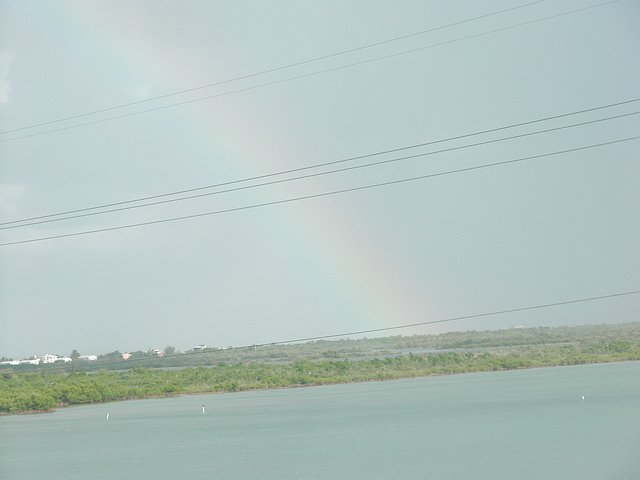 <b>zurck nach Miami
